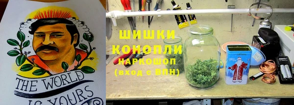 PSILOCYBIN Абаза