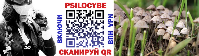 наркота  Черноголовка  Псилоцибиновые грибы MAGIC MUSHROOMS 